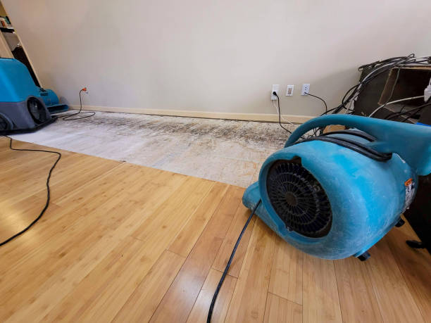 Professional Sewage Cleanup technician working in Auburn, IL